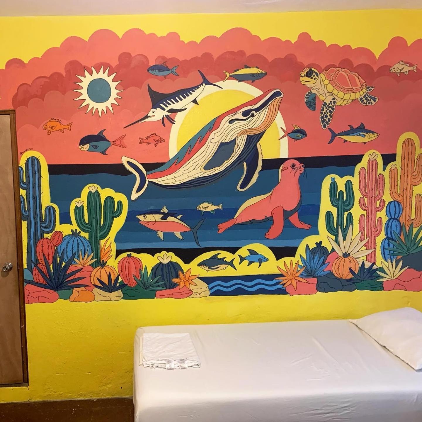 Desert Heart Hostel San Jose del Cabo Exterior photo