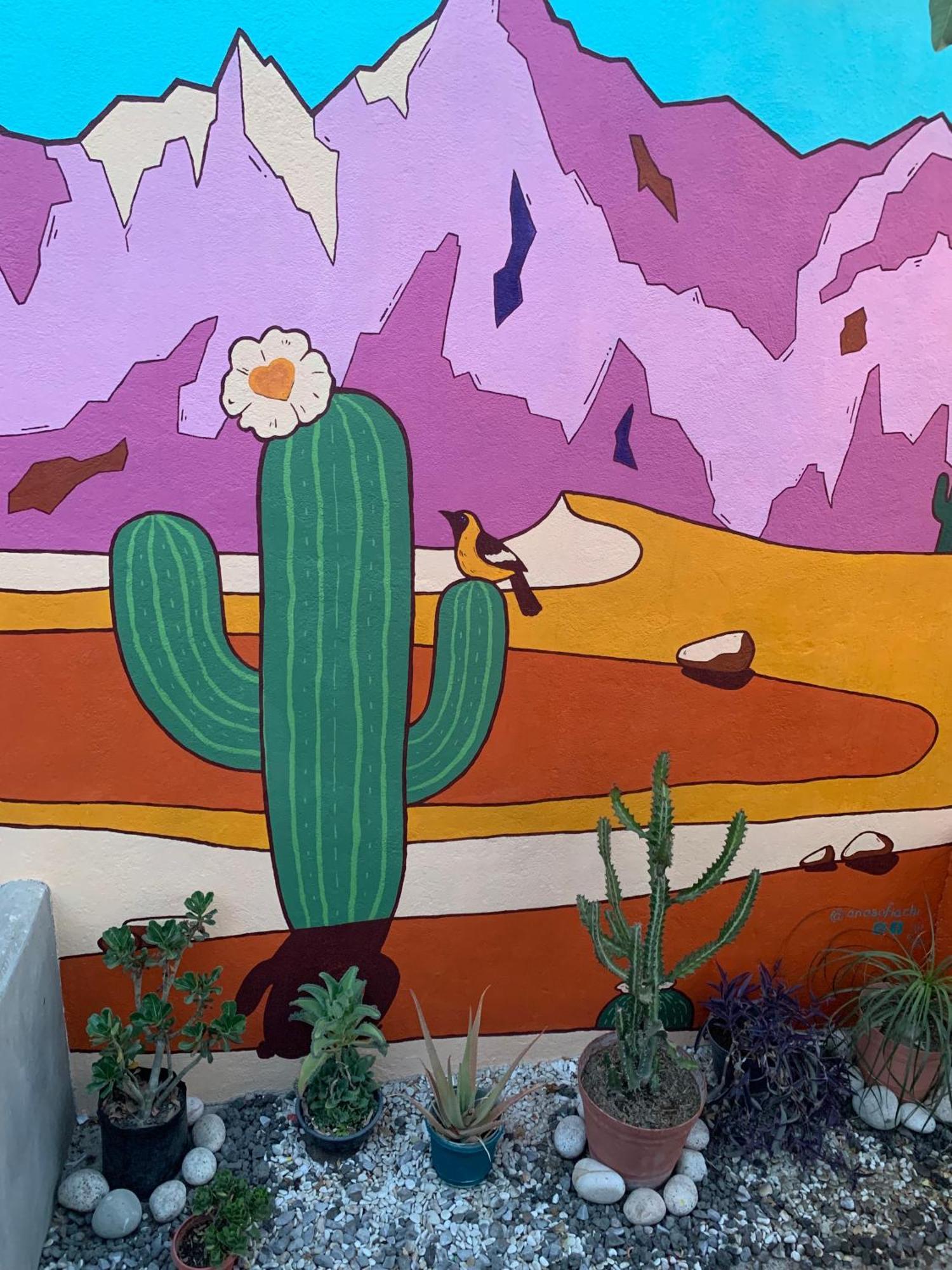 Desert Heart Hostel San Jose del Cabo Exterior photo